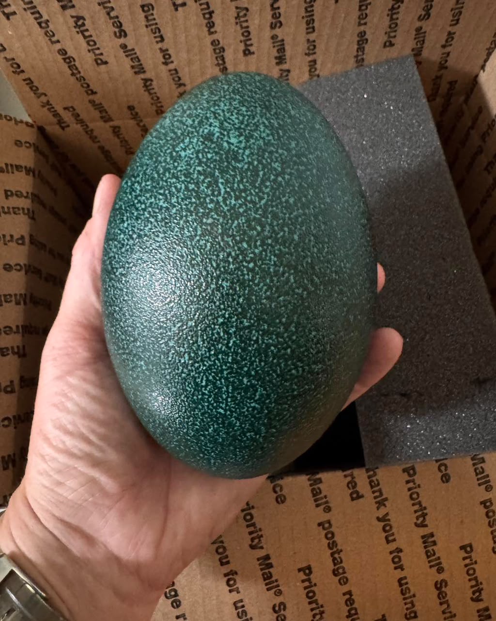 Emu hatching egg Pep Bird Farm Klamath Falls Oregon